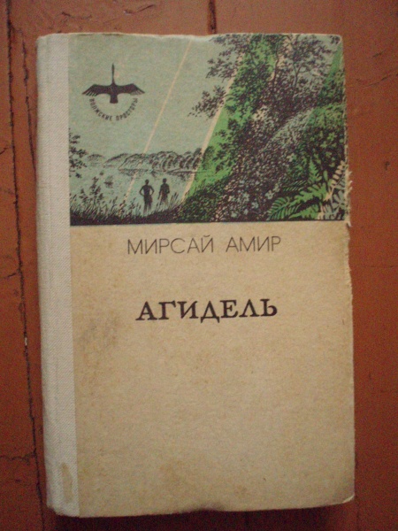 Читать книгу амир. Мирсай Амир Агидель. Мирсай Амир книги. Мирсай Амир чистая душа. Мирсай Амир читать.