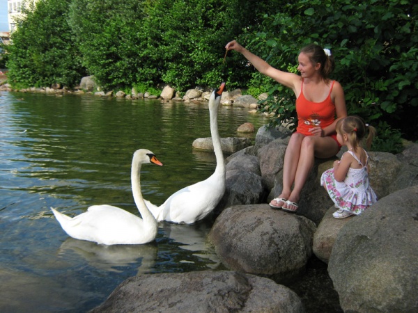 Фото BobrDobr 