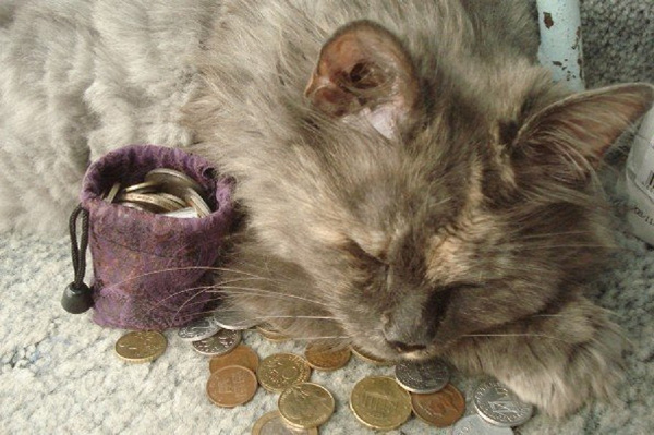 котик с монеткой. кот с монеткой. кот с монетами. кот с монеткой. кот с монетами.