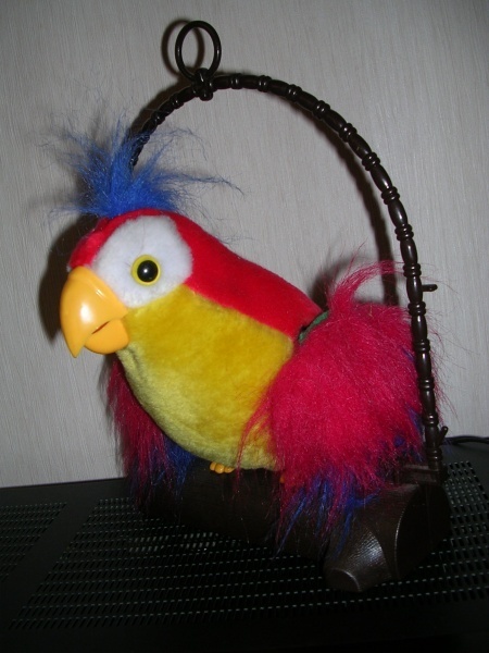 Купить Говорящего Попугая В Спб Недорого