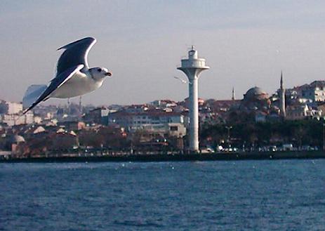 Дар гостеприимства. Стамбул