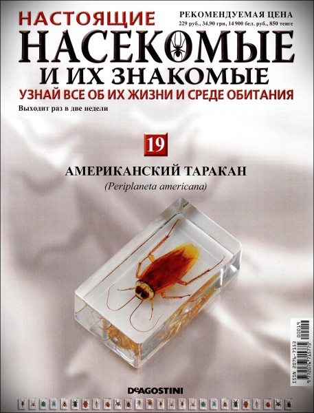 животные и их знакомые. животные и их знакомые. насекомые и их знакомые вся коллекция. настоящие насекомые. деагостини насекомые кейс.