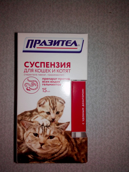 Средства против глистов для кошек суспензия. Барс таблетки от глистов для кошек.