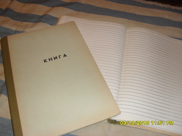 Амбарная книга образец