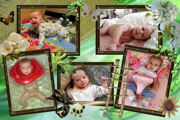 Фото Crogus 