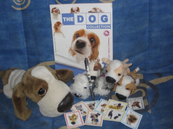 Фото catsanddogs 