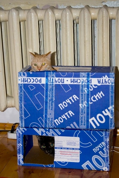 частные посылки в логике. письма и посылки. посылка из прошлого подарок. виды почтовых отправлений. упаковка посылки.