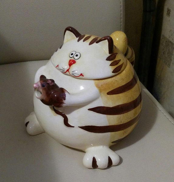 Чайник-кот в дар (Екатеринбург). Дарудар
