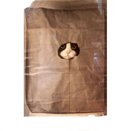 «Кот в мешке» монетный