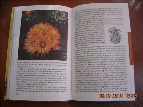 Книга про кактусы