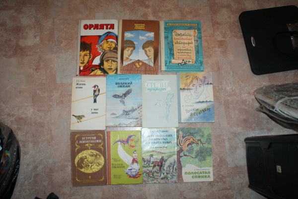 Книги для детей в дар (Саратов). Дарудар