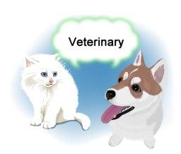 Консультация ветеринарного врача