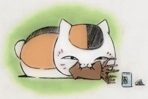 Котик в мешке «Япония» (пополняющийся и растущий)