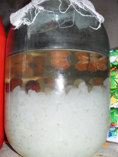 Купить индийский морской. Индийский морской рис (зооглея). Зооглея морской рисовый гриб. Чайный гриб и рисовый гриб. Индийский рис молочный гриб чайный гриб.