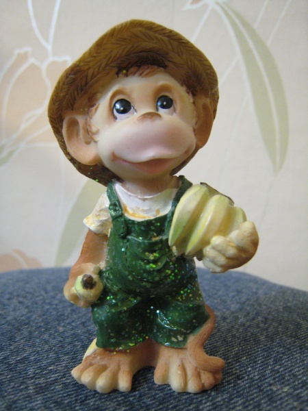 Обезьянка в дар (Москва). Дарудар