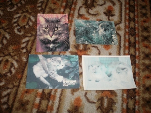 Календари с кошками 1991 года.)))