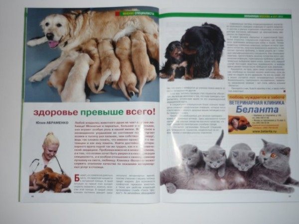 Журнал о животных Зооафиша и буклеты