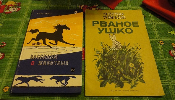 Э сетон томпсон чинк. Чинк Сетон-Томпсон. Э.Сетон-Томпсон рассказы о животных картинки. Сетон Томпсон Джек боевой конек.