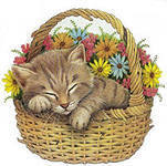 Кот-путешественник монетный, заморский
