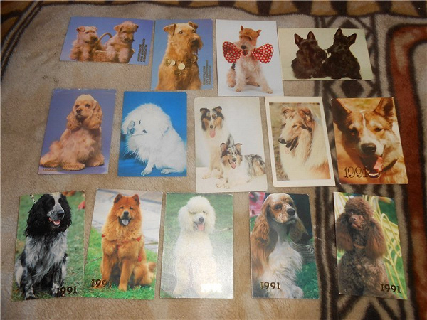 календарики с собаками