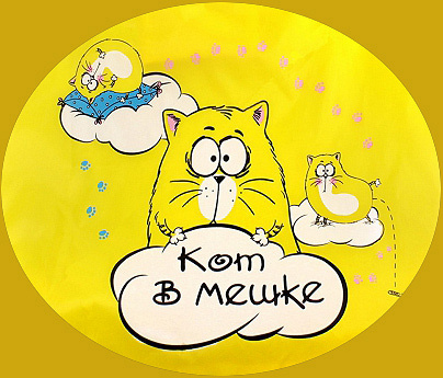 Фразеологизм кот в мешке