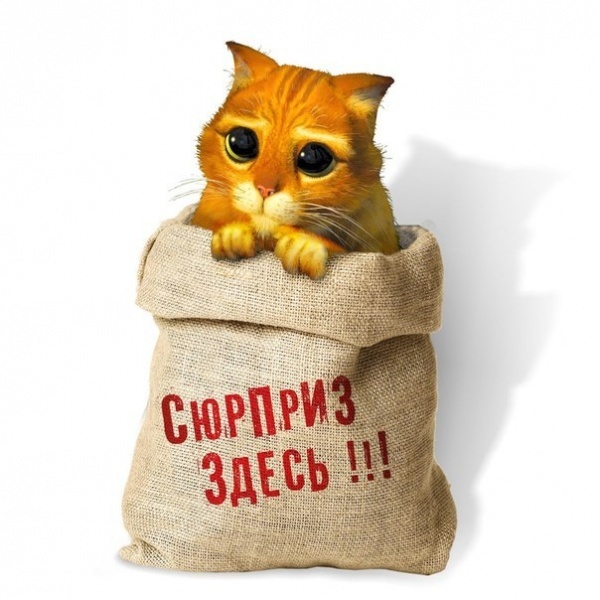 Кот в мешке картинка