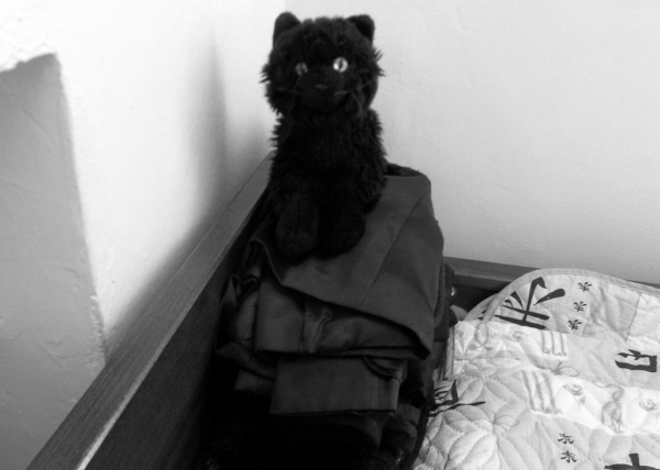Черный кот в мешке