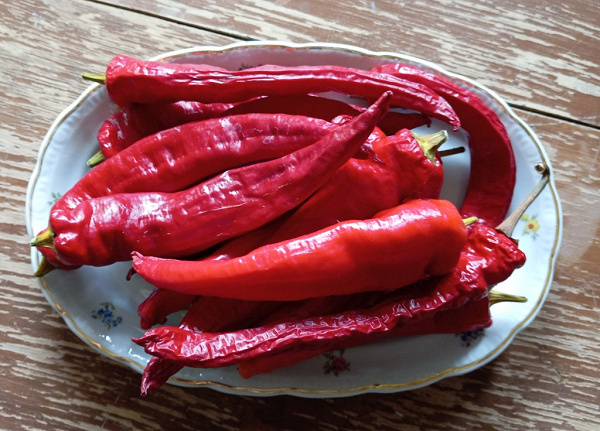 Свежий красный острый перец. в дар (Санкт-Петербург). Дарудар