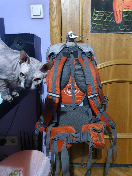 Походный рюкзак Nordway Trekker 55l в дар (Москва). Дарудар