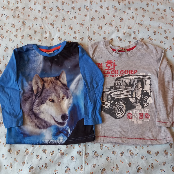 Футболки с длинным рукавом для мальчика в дар (Москва). Дарудар