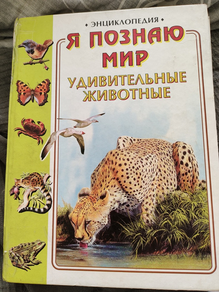 Удивительный мир энциклопедий. Детская энциклопедия росмэн мир растений. Удивительный мир энциклопедий. Удивительный предметный мир картинки. Современная энциклопедия для девочек.