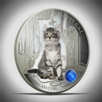 Монетный кот
