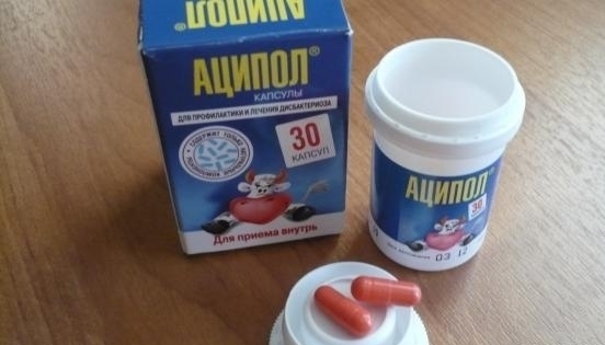 Чем заменить аципол взрослому подешевле Аципол в дар (Санкт-Петербург). Дарудар
