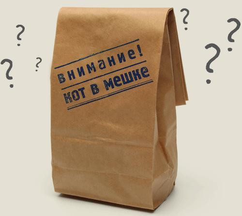 Календариковый котик