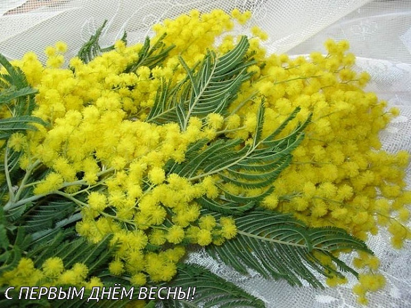 набор монет — Руанда