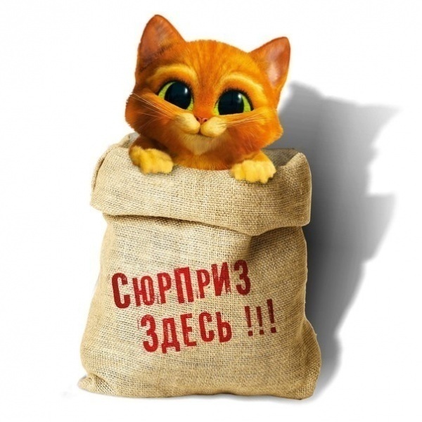 Кот в мешке..))