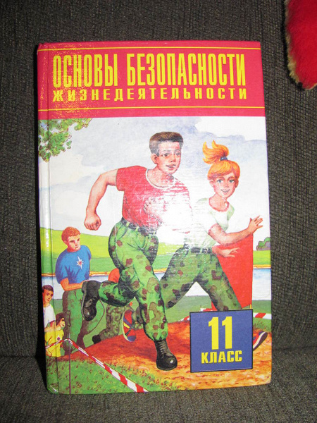 Обж 11 класс. ОБЖ 11 класс Смирнов Хренников. ОБЖ 11 кл Смирнова. Учебник ОБЖ 11 класс. Учебник по ОБЖ 11 класс Смирнов.