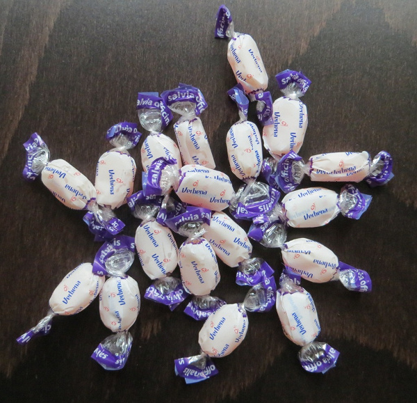 Verbena шалфей