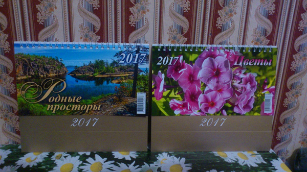 Календарь на 2017 г в дар (Железнодорожный (Московск.), Москва). Дарудар