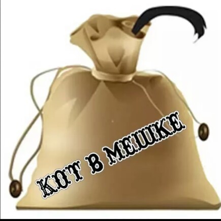 Фразеологизм кот в мешке