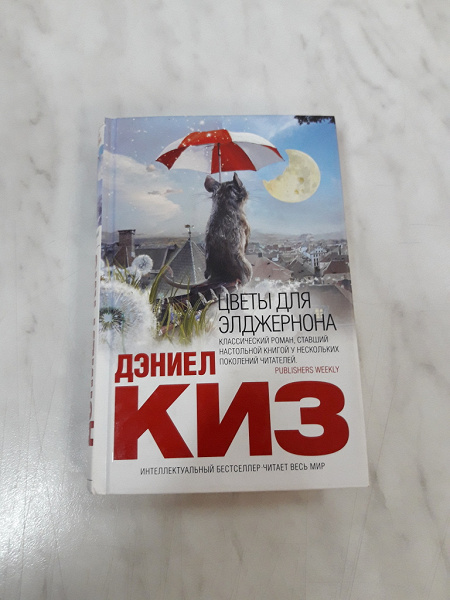 Презентация по книге цветы для элджернона