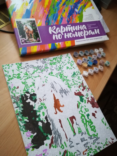 Картина по номерам в дар (Новосибирск). Дарудар
