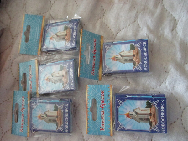 книжки брелоки в дар (Новосибирск). Дарудар
