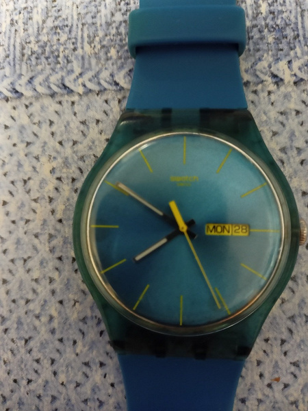 Часы наручные Swatch в дар (Санкт-Петербург). Дарудар