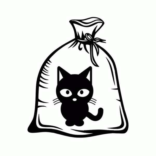 Фразеологизм кот в мешке