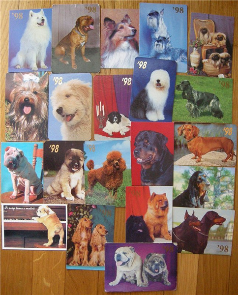 Карманные календарики. Собаки, 98 год.